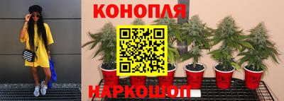 ГАЛЛЮЦИНОГЕННЫЕ ГРИБЫ Заводоуковск