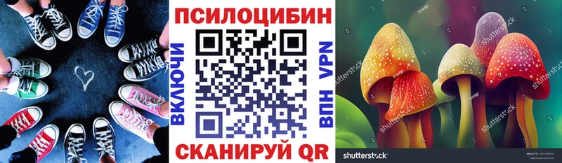 сколько стоит  Заречный  Псилоцибиновые грибы ЛСД 