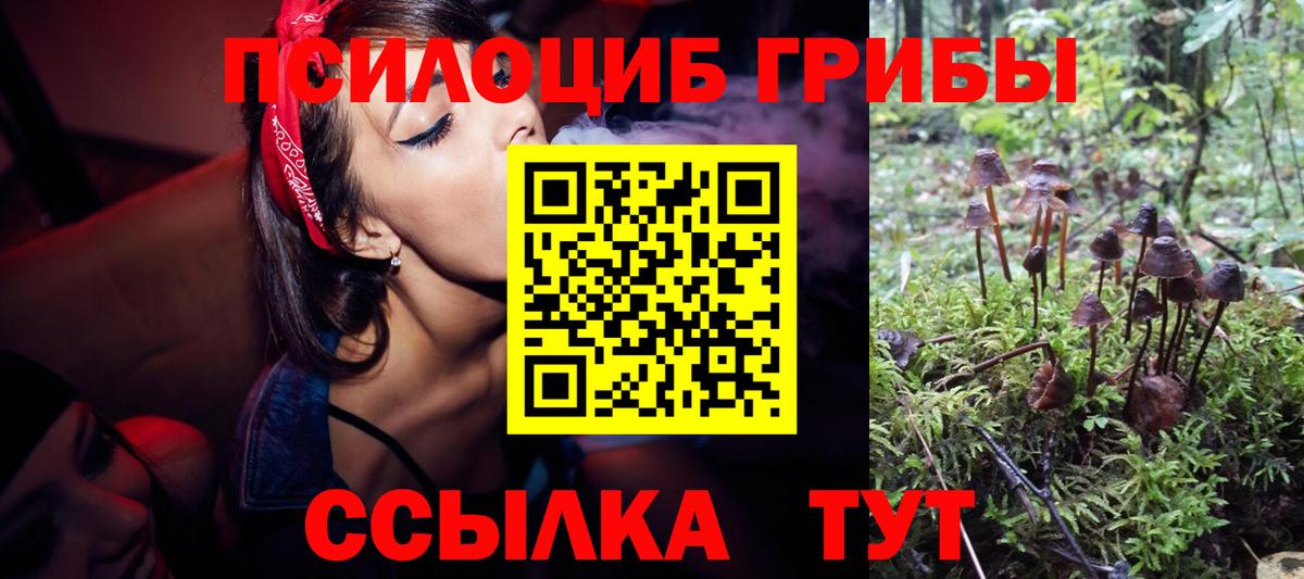 Галлюциногенные грибы мухоморы  Вход с VPN  хочу наркоту  Заречный 